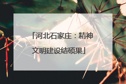 河北石家庄：精神文明建设结硕果